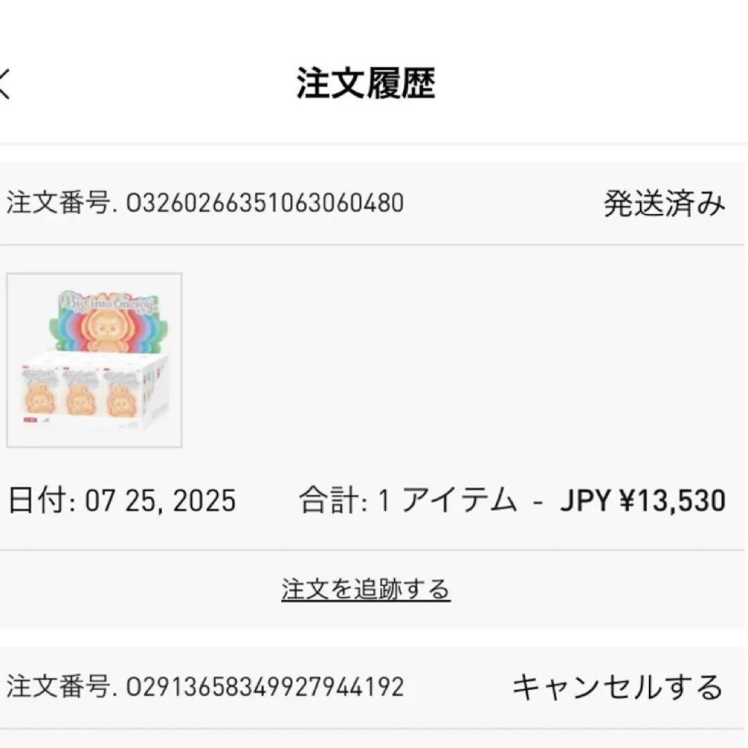【正規品】ラブブBig into Energy シークレット ID