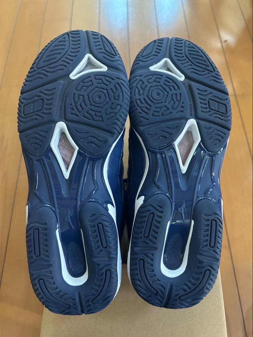 ミズノ　ウエーブダイバース MIZUNO WAVE DIVERSE LG4