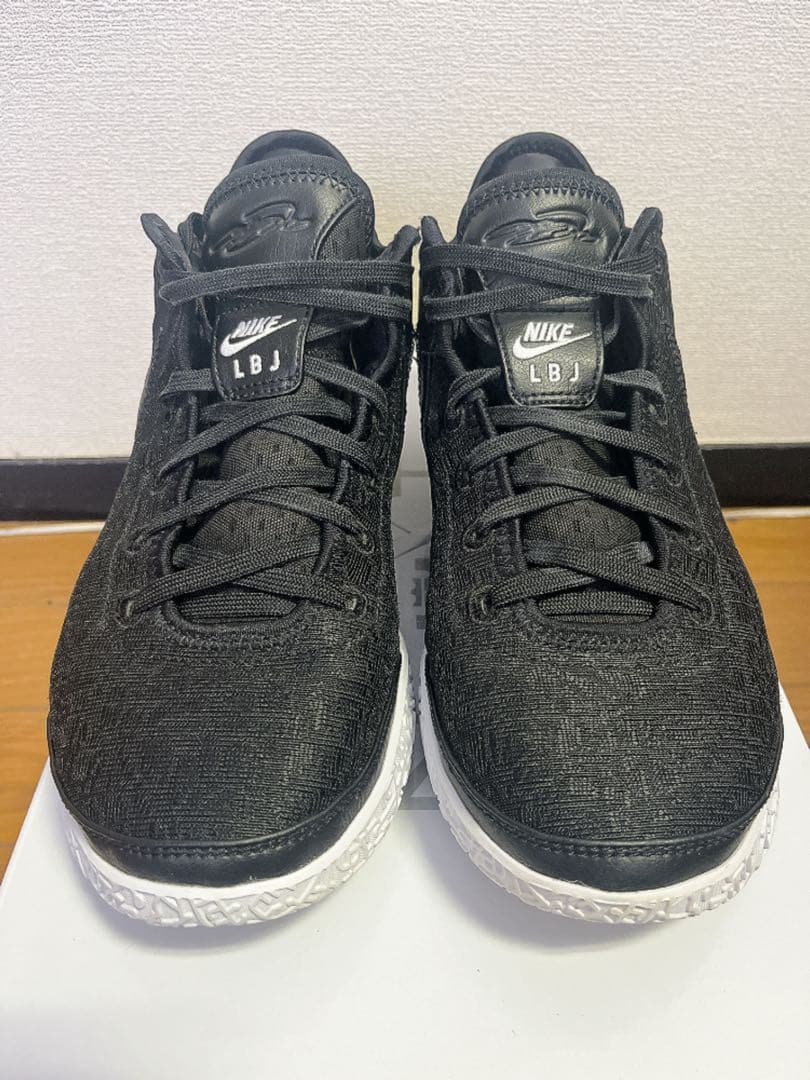 ZOOM LEBRON NXXT GEN EP レブロン 26.5cm