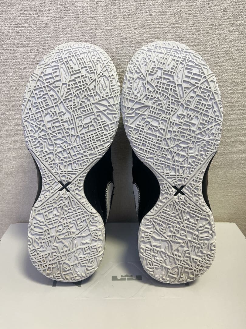 ZOOM LEBRON NXXT GEN EP レブロン 26.5cm
