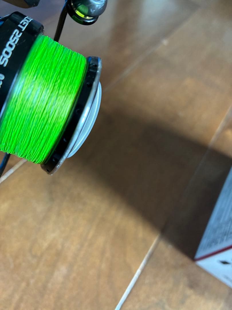 ハイビスカス　　Abu Garcia Revo SP