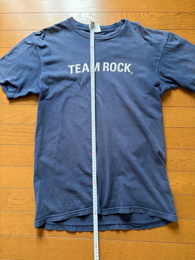 くるり TEAM ROCK Tシャツ USA製 M