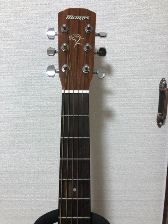 MORRIS F-01NAT ギータ