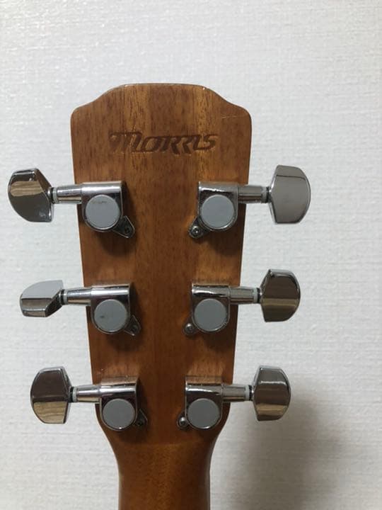 MORRIS F-01NAT ギータ