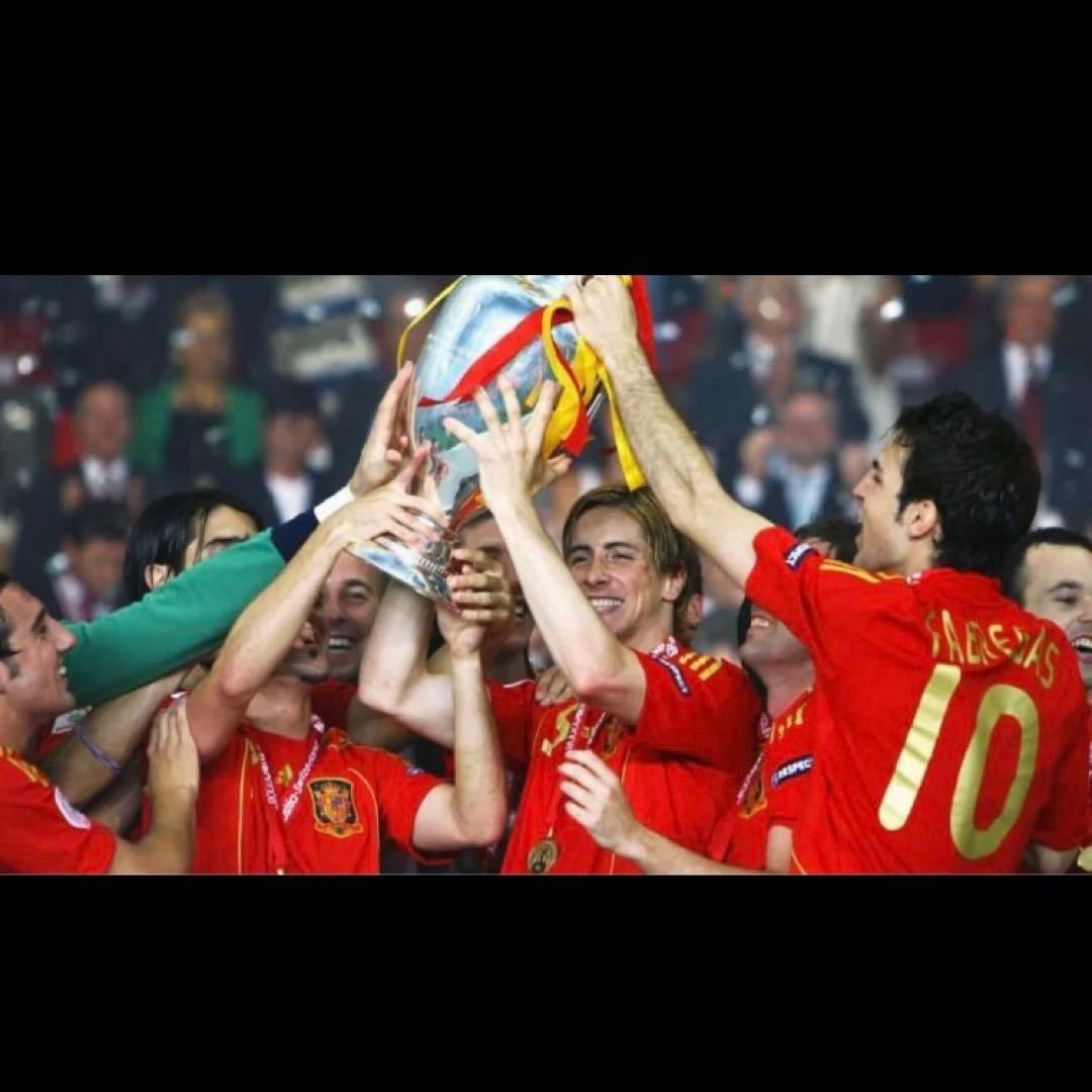 【証明書付 】トーレス 直筆サイン EURO2008 Final A3サイズ相当