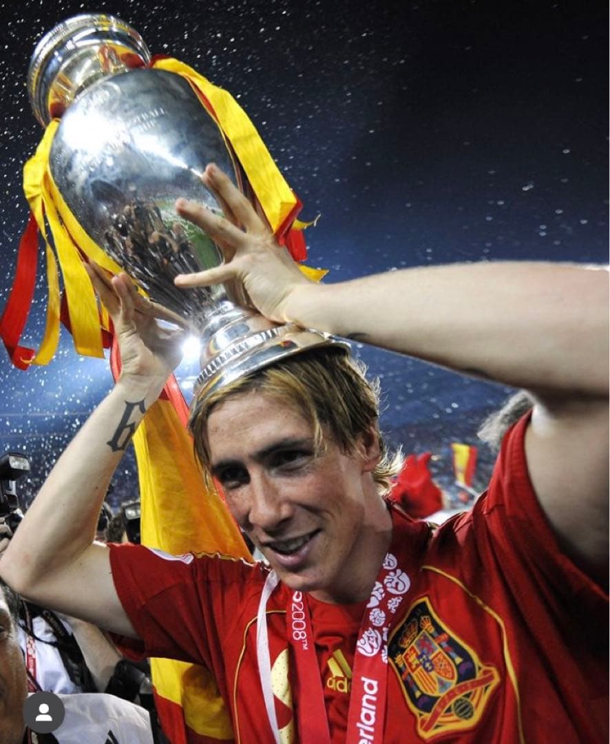 【証明書付 】トーレス 直筆サイン EURO2008 Final A3サイズ相当