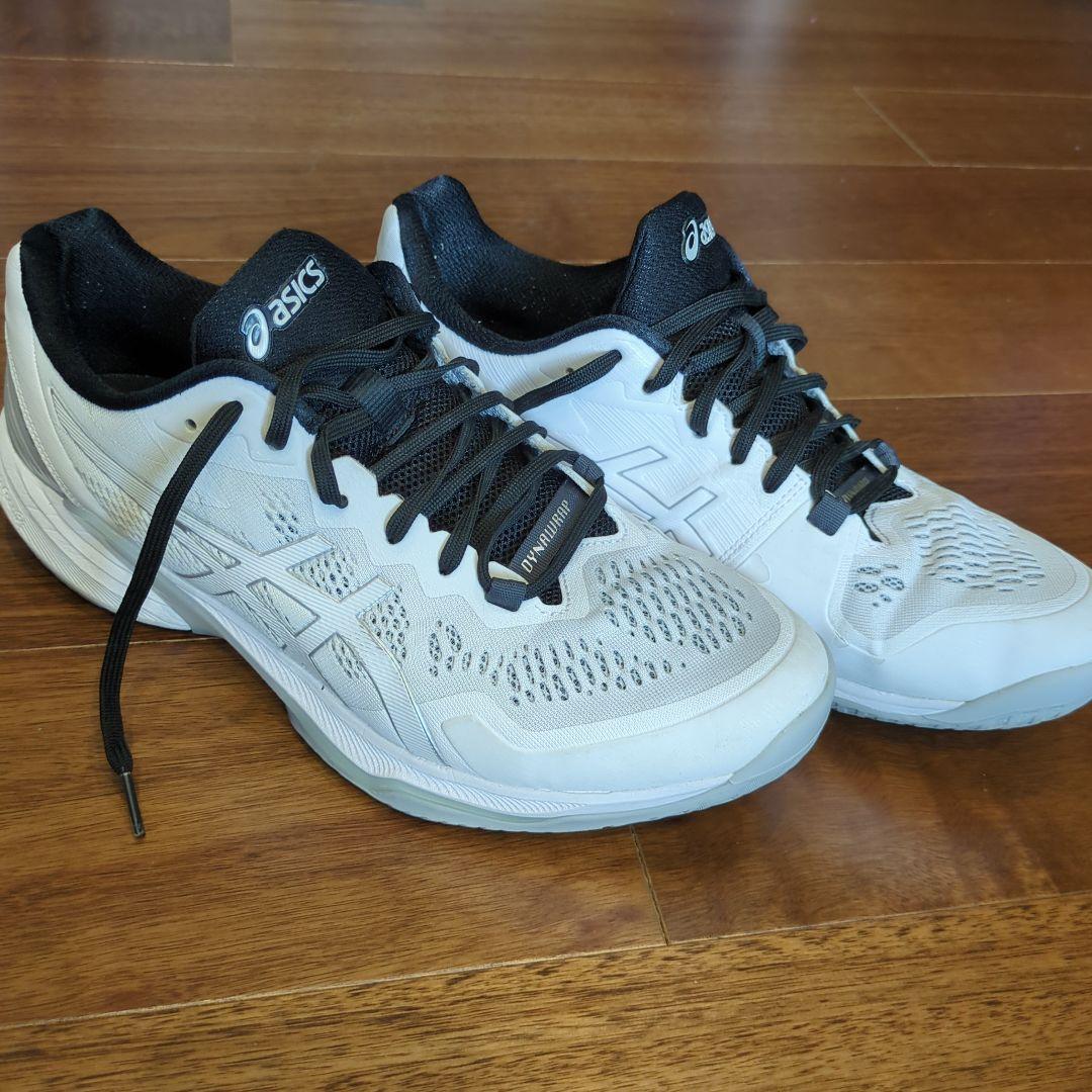 asics スカイエリートFF2 29cm