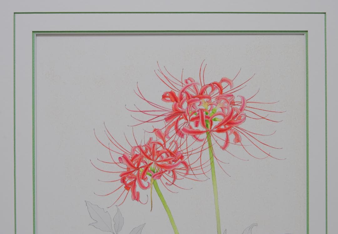 山本敏雄 彼岸花 曼殊沙華 秋 花の絵 絵画 静物画 水彩画