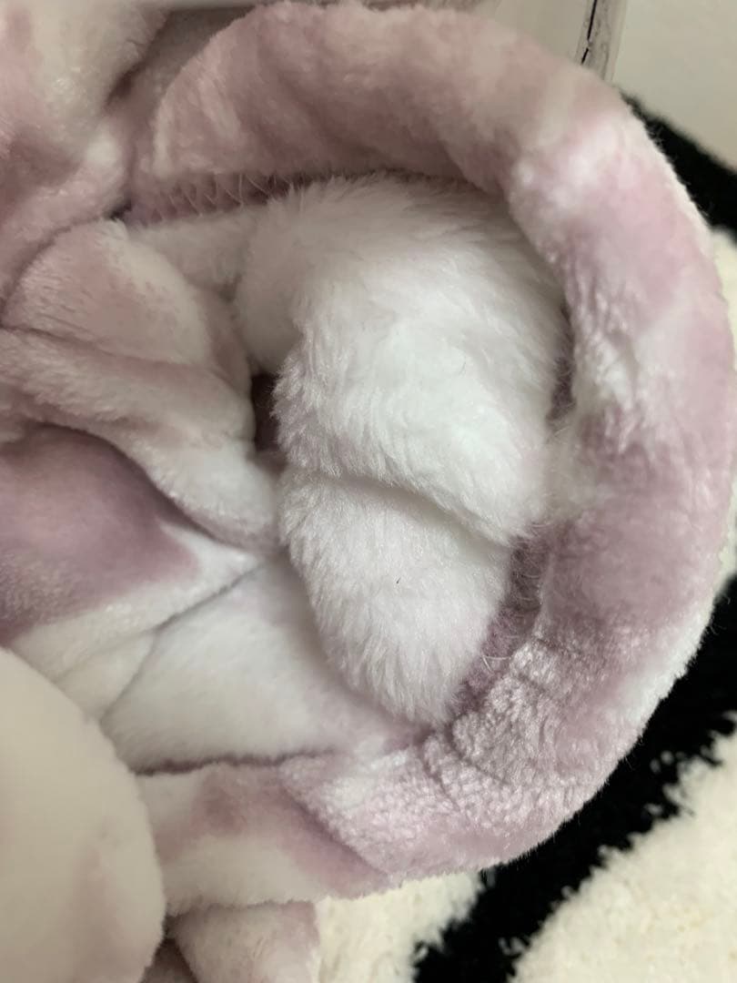 フランフラン ダマスク　ブランケット　シングル