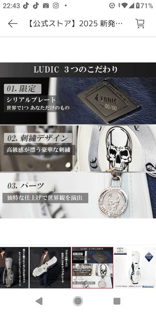 ルディック キャディバッグ スカルバージョン グレー×ブラック 限定70本