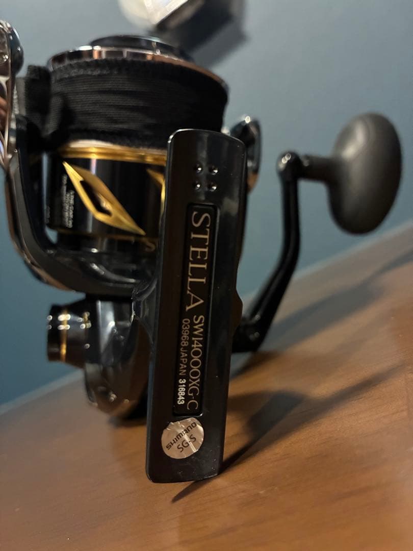 リール 19STELLA SW 14000xg