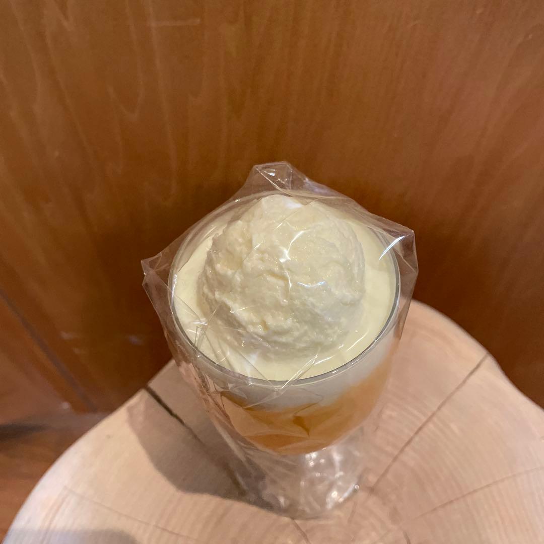 まいづる食品サンプル　オレンジフロート