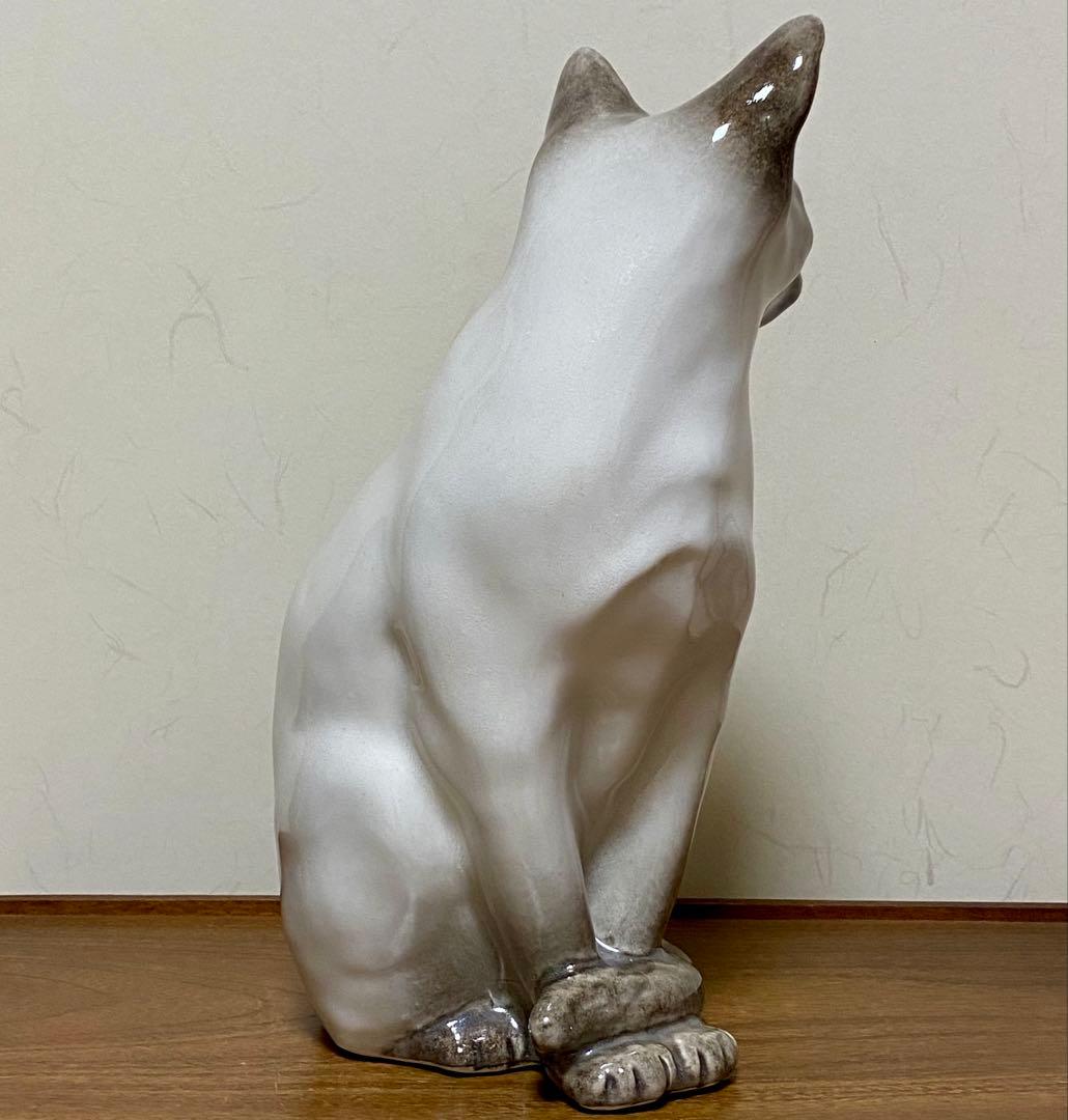 ウィンスタンレイキャット　ケンジントンキャット　寒色系シャム猫　サイズ5