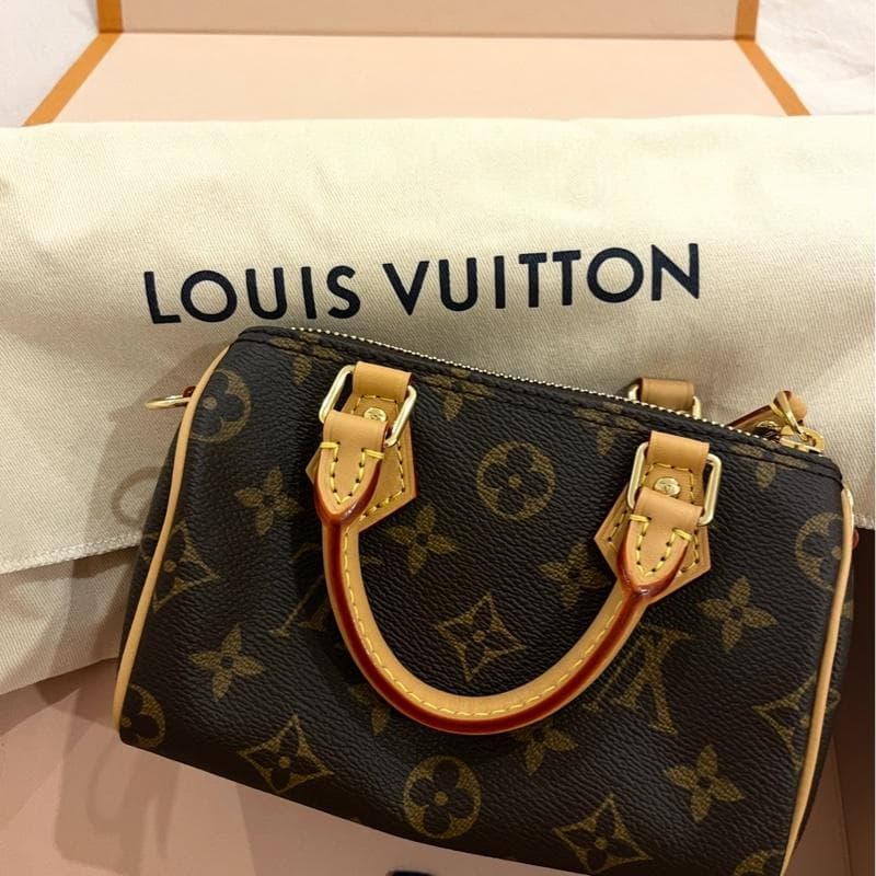 LOUIS⭐️V16cm Speedy nano モノグラム レザーバッグ