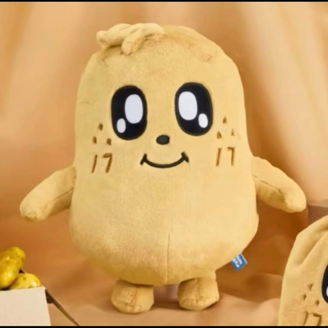 ミニティーン　キムジャ　ミンギュ　ぬいぐるみSEVENTEEN プラッシュトイ