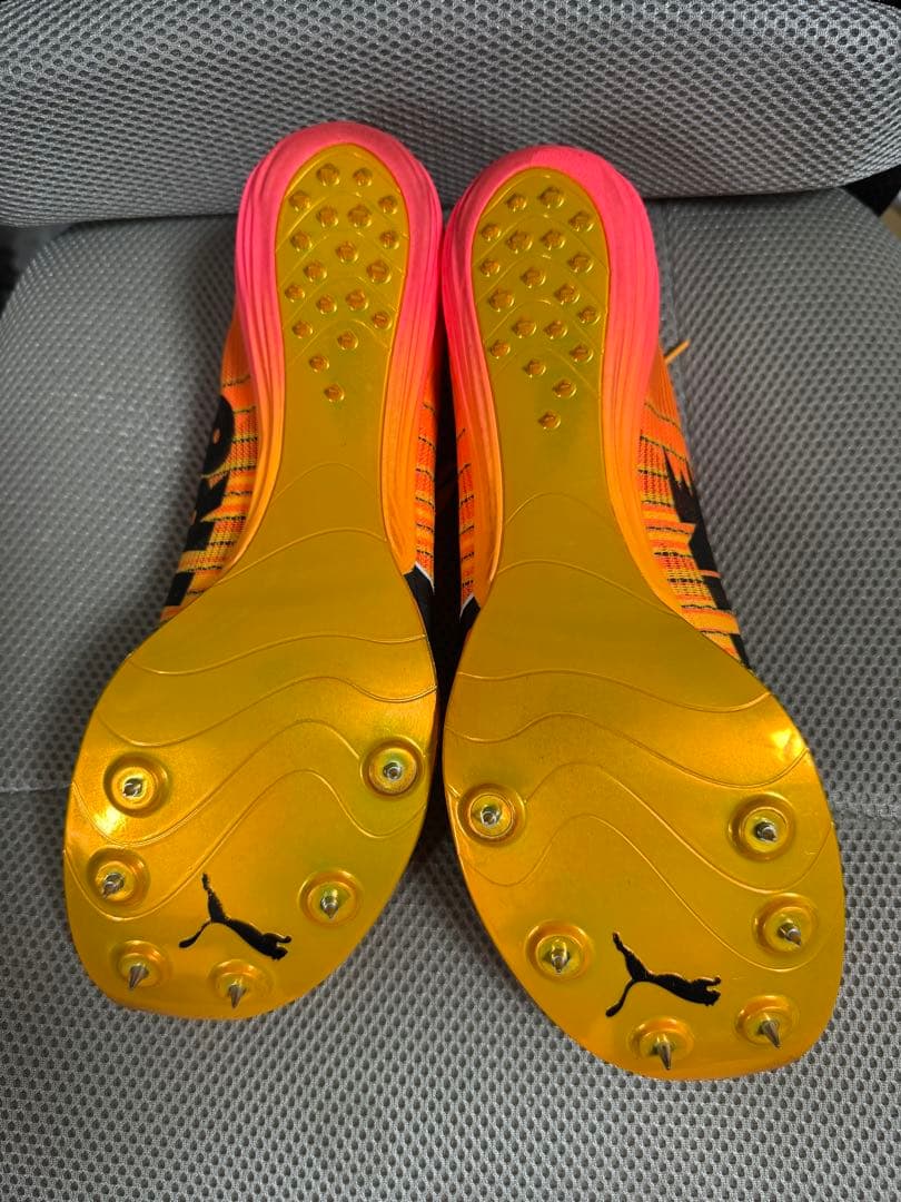 スパイク・シューズ evospeed forte NITRO elite 27.5cm