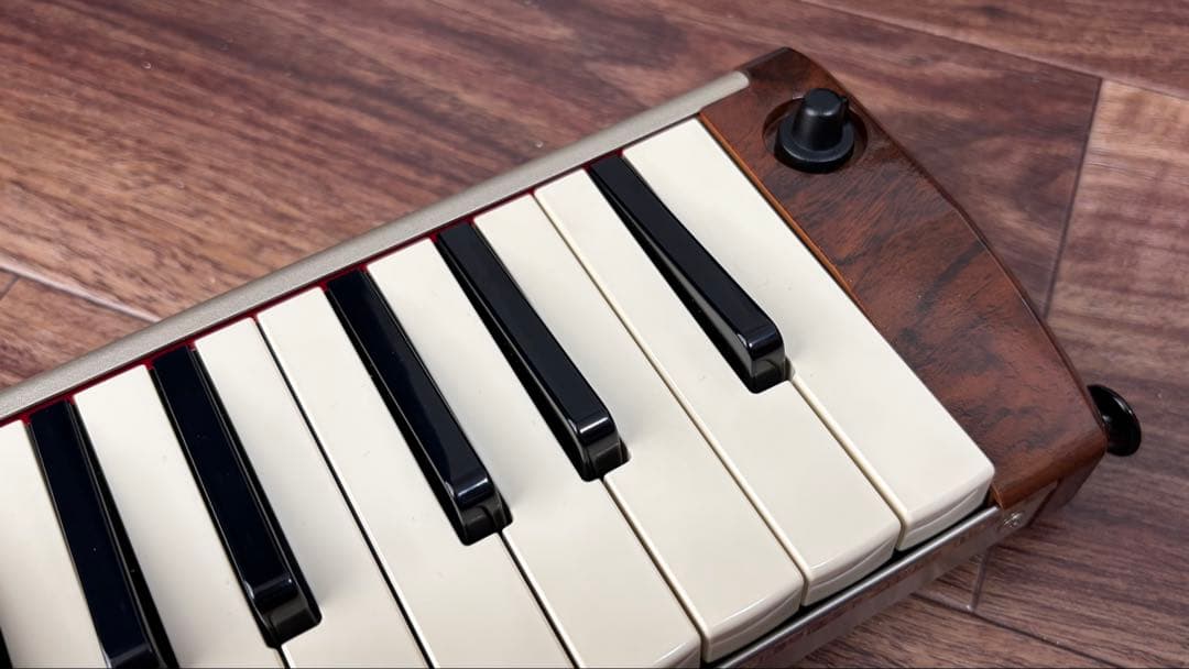 HAMMOND ( ハモンド )PRO-44Hv2　鍵盤ハーモニカ