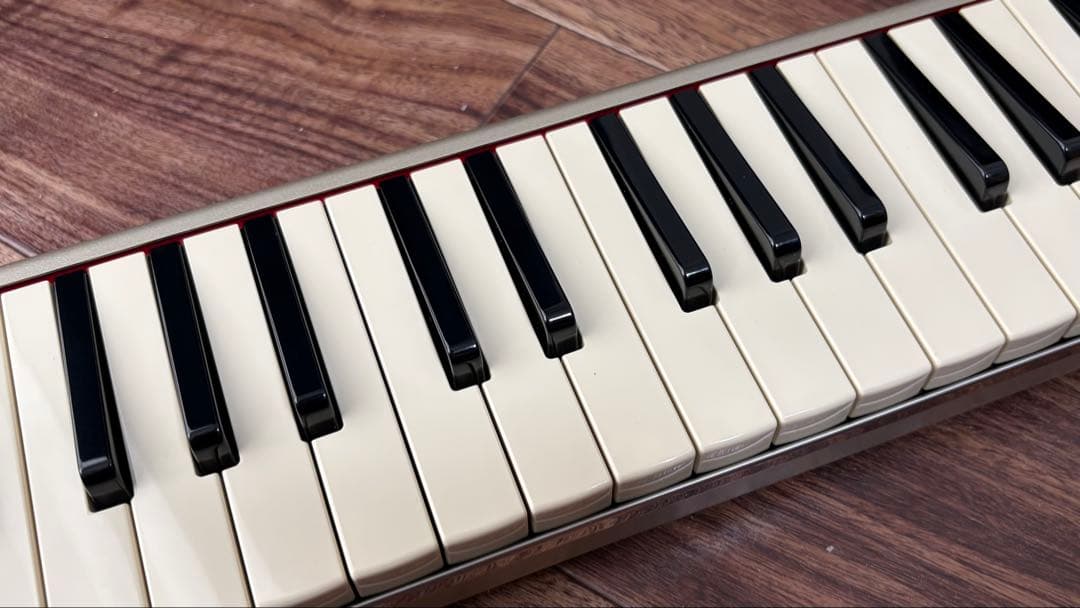 HAMMOND ( ハモンド )PRO-44Hv2　鍵盤ハーモニカ