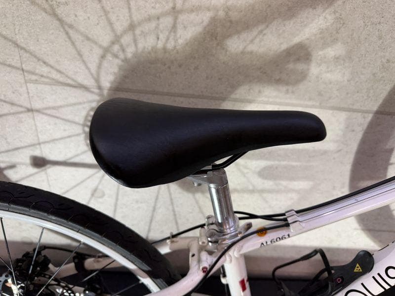 LOUISGARNEAU Five PRO 26インチ MTB disc