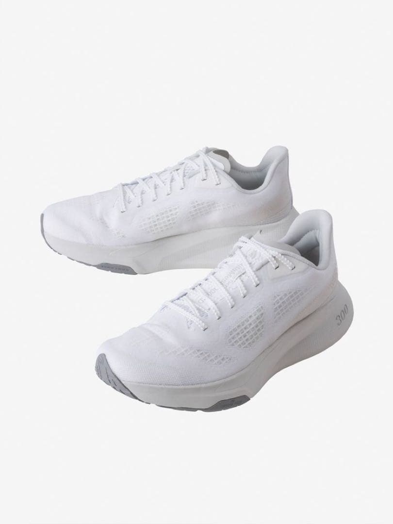 美品！THE NORTH FACE Altamesa300 26.0cm