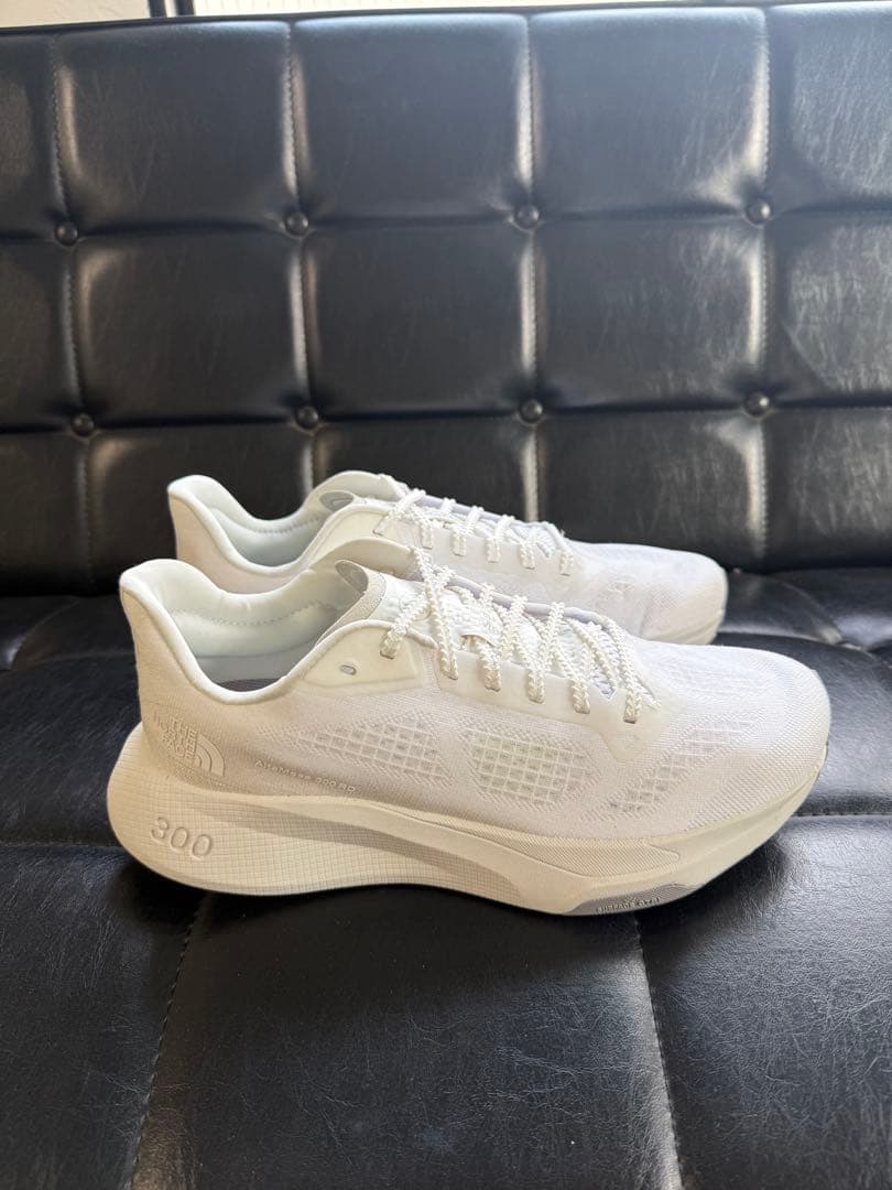 美品！THE NORTH FACE Altamesa300 26.0cm