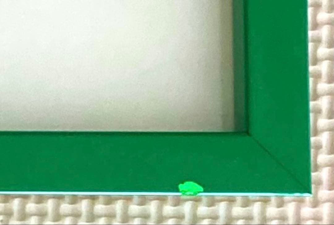 モーツァルトgreen