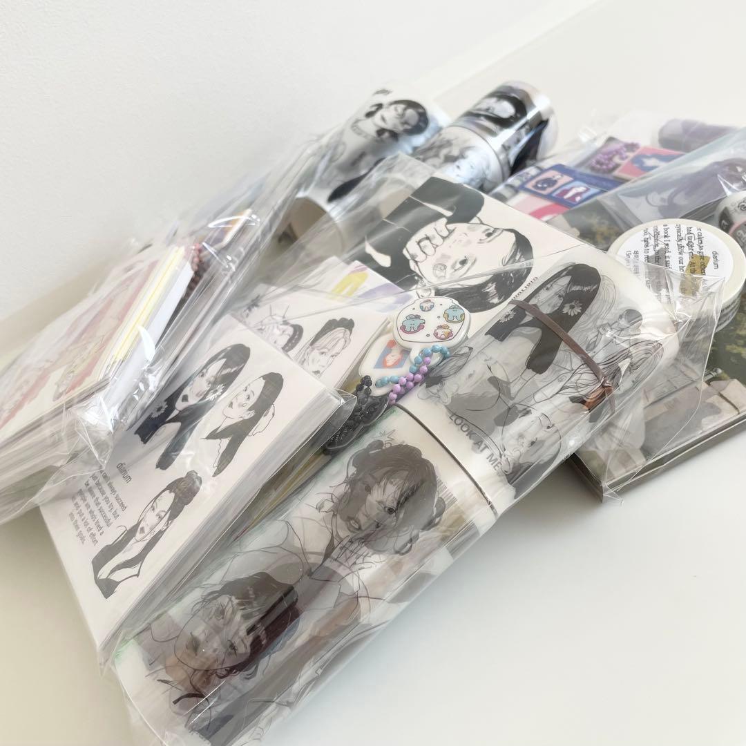 1セット限定　韓国　貯金　バインダー　カバー　diarium 大容量セット