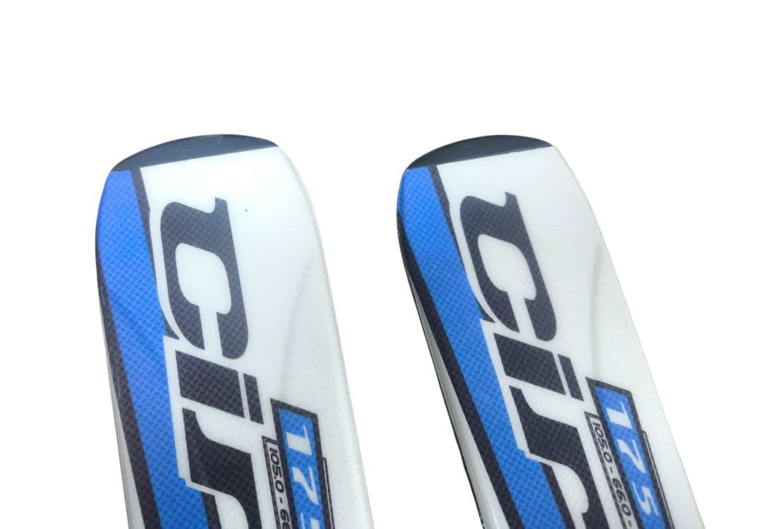 Hart Circuit スキー 175cm Salomon ストック付き