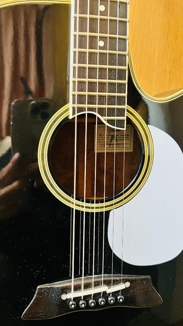 Takamine PT-108-6 エレアコ 実用品 長渕ヘッド！ハードケース有