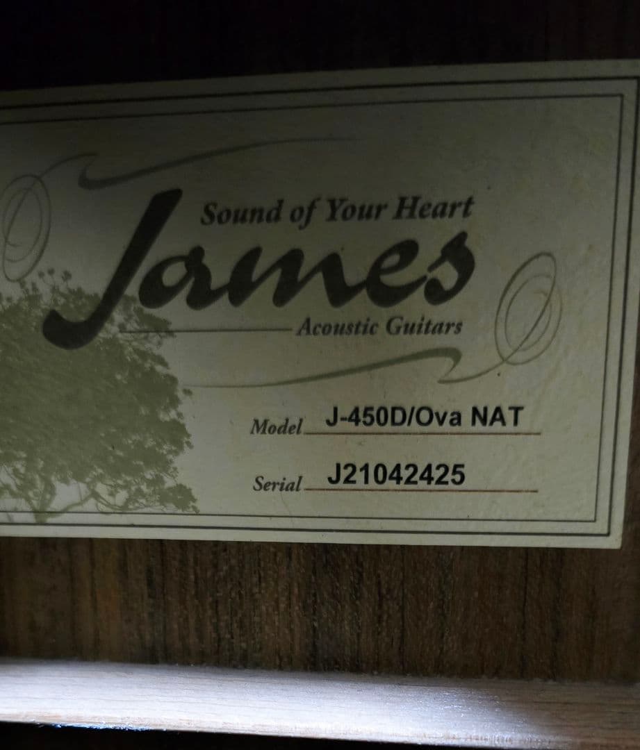 James J-450D/Ova NAT アコースティックギター