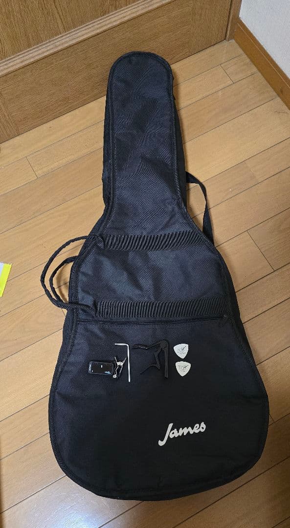 James J-450D/Ova NAT アコースティックギター