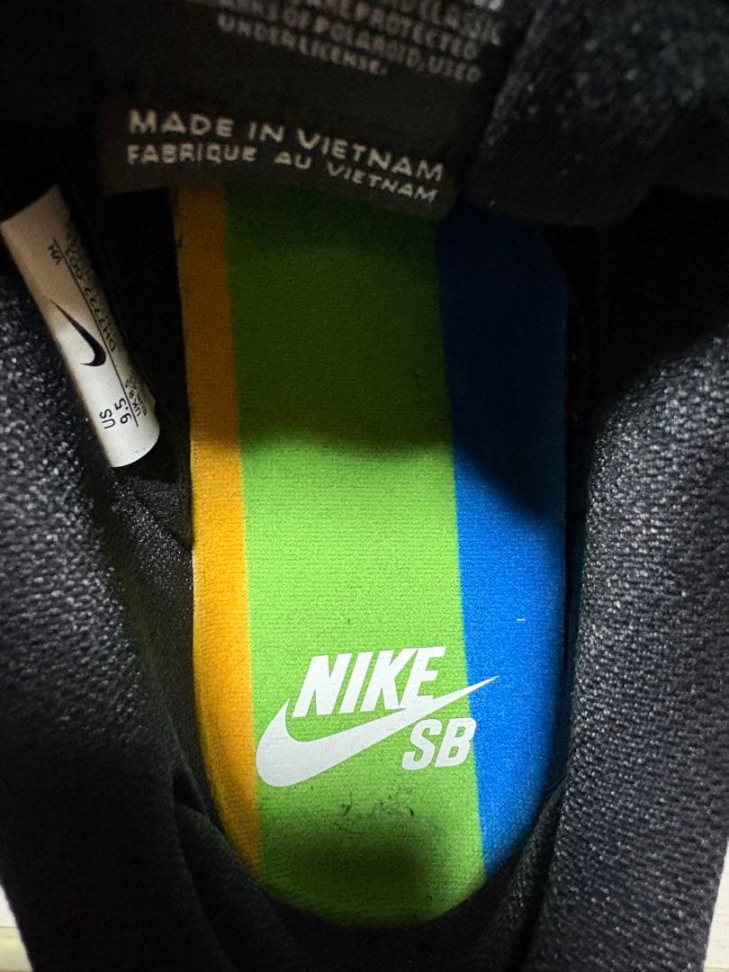 Polaroid × Nike SB Dunk Low Pro QS \"