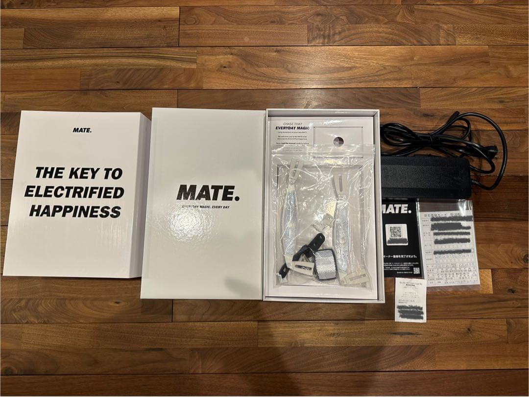 【美品】MATE X 250W eバイク 電動自転車 Subdued Black