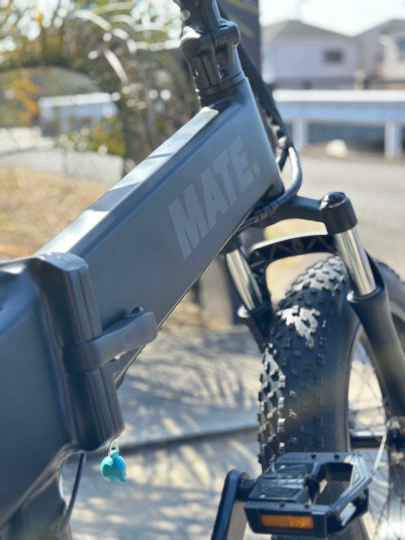 【美品】MATE X 250W eバイク 電動自転車 Subdued Black