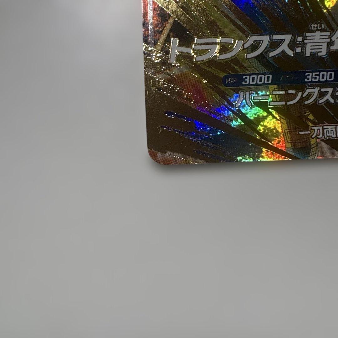 SDV3-029トランクス:青年期