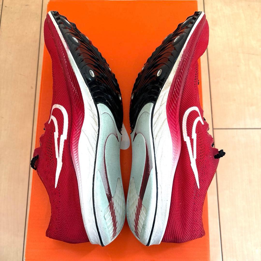 NIKE ドラゴンフライ 25.0
