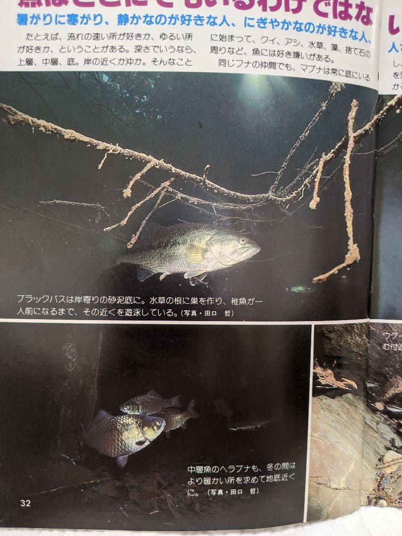 釣り　川　湖沼
