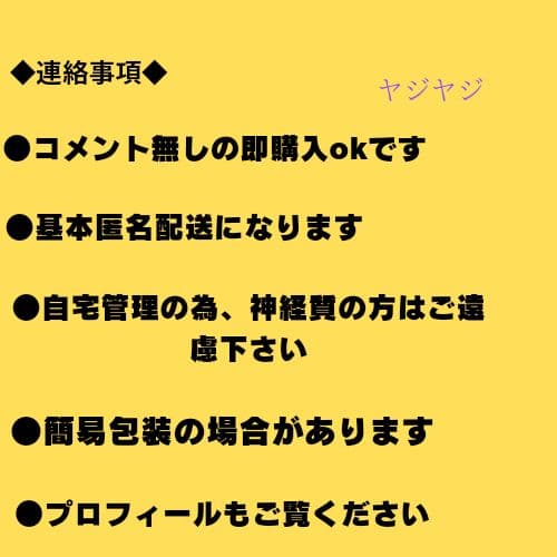 【極希少/新品タグ付】宇都宮ブレックス 記念Tシャツ 日環アリーナ栃木 LG