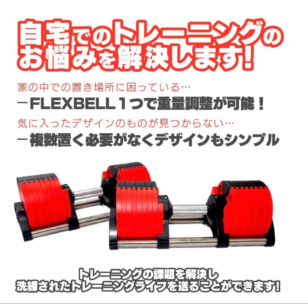 【限定廃盤カラー】フレックスベル 32kg 2kg刻み 2個セット レッド 赤