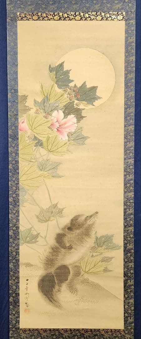 【月下芙蓉に狸図】河村文鳳 2661 フヨウにタヌキ 掛け軸　肉筆