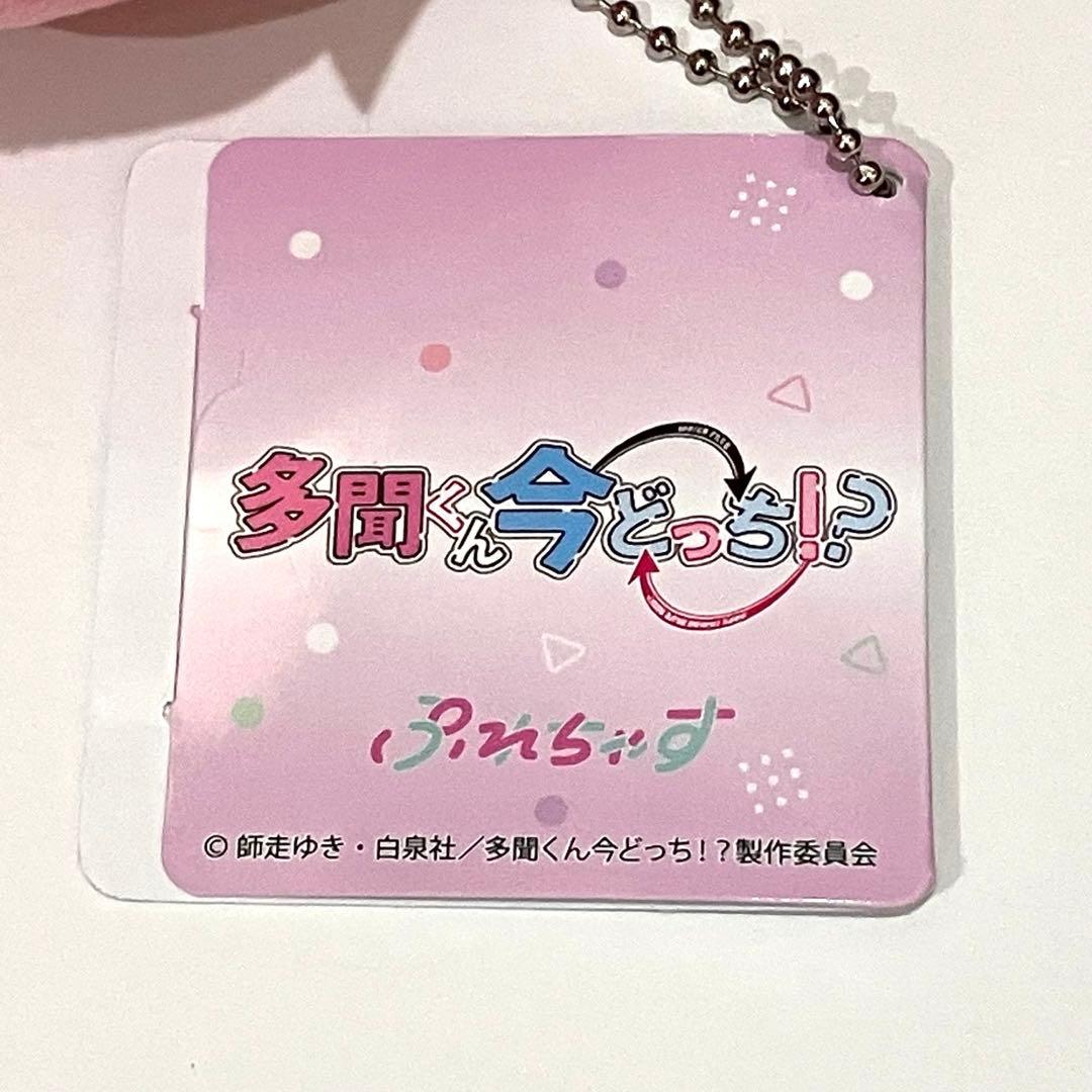 多聞くん今どっち　ぷれちゃす　ぬいぐるみ　福原多聞　多聞教　プライズ