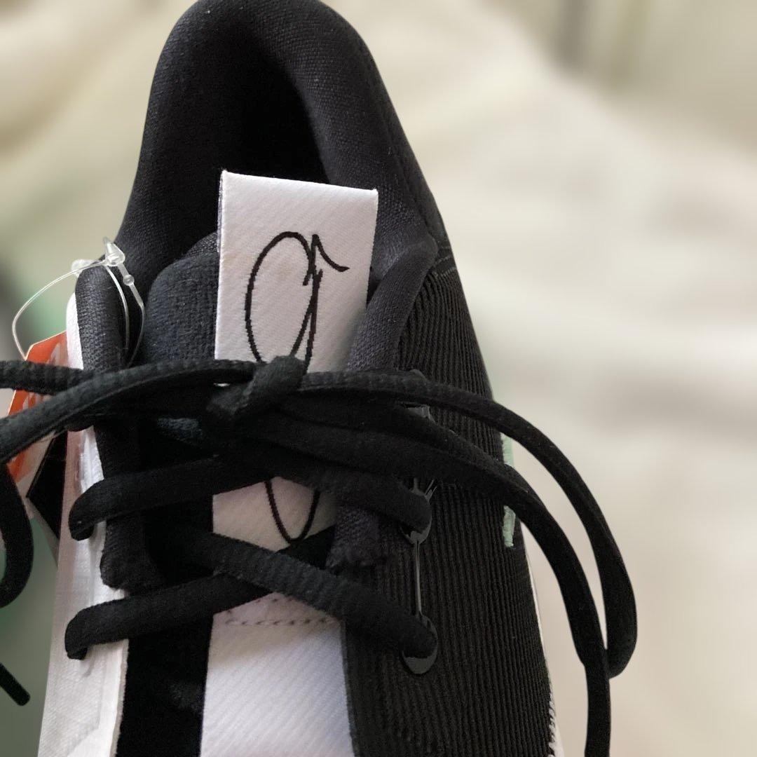 NIKE 'BLACK MINT'PG6 DH8447-001 メンズスニーカー