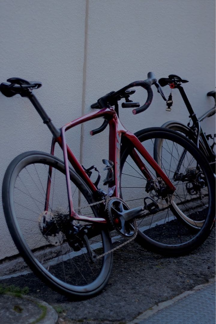 自転車本体 TREK EMONDA SL6 2024