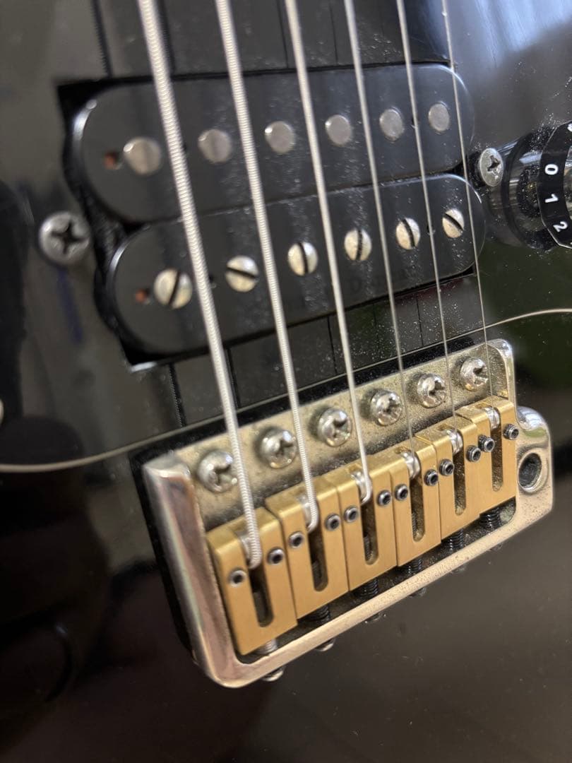 PRS SE EG 改造品