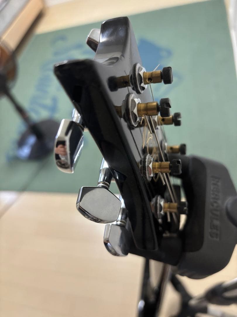 PRS SE EG 改造品
