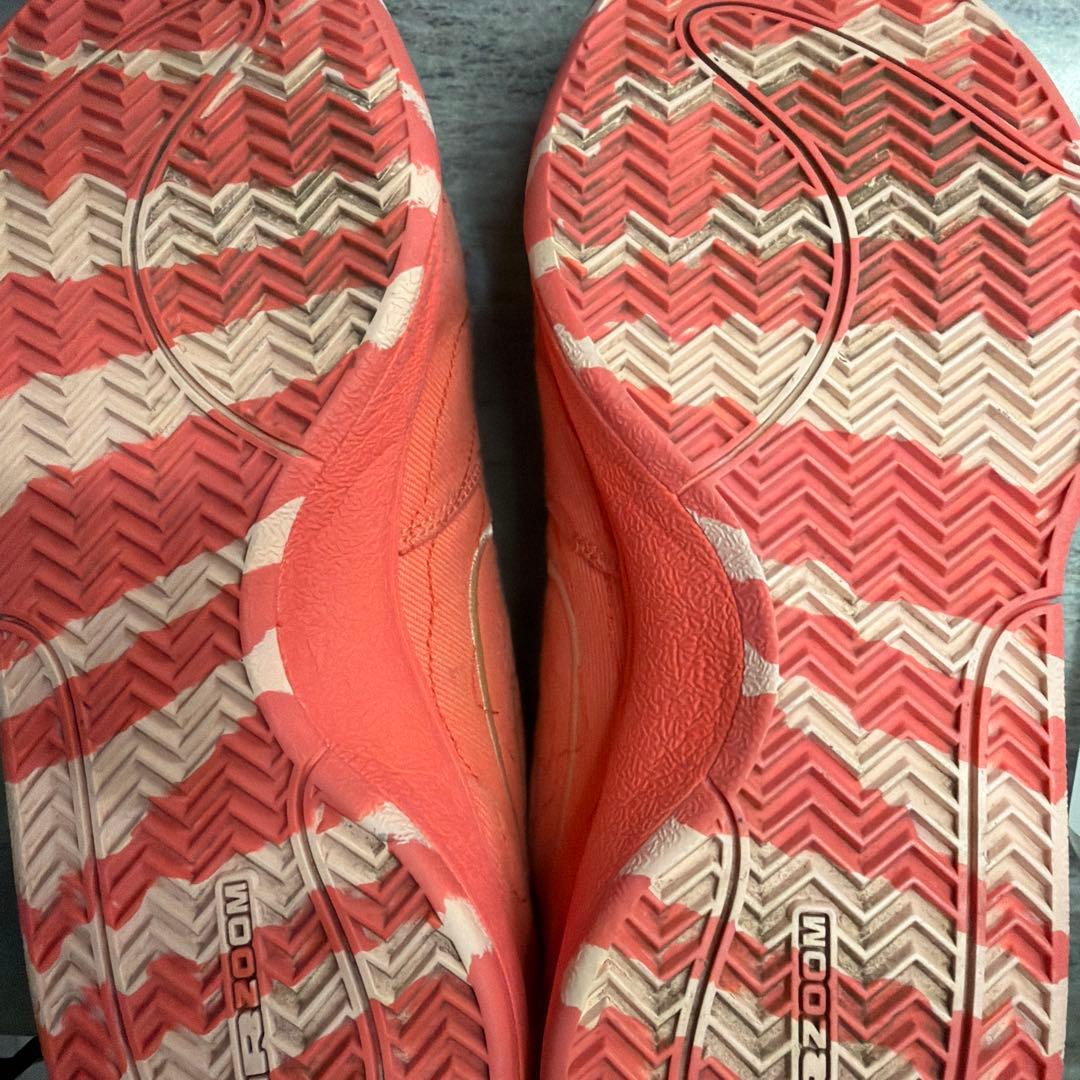 NIKE BOOK 1 セドナ バスケットボールシューズ