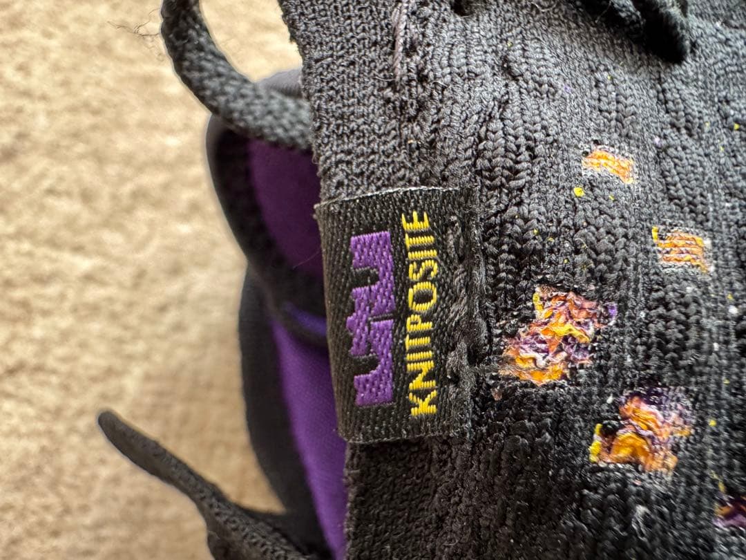 Nike LeBron 17 ブラック/パープル