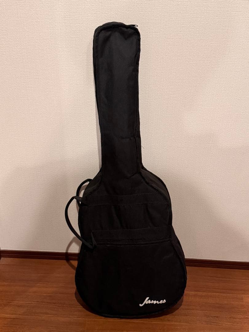 James JF400 NAT アコースティックギター