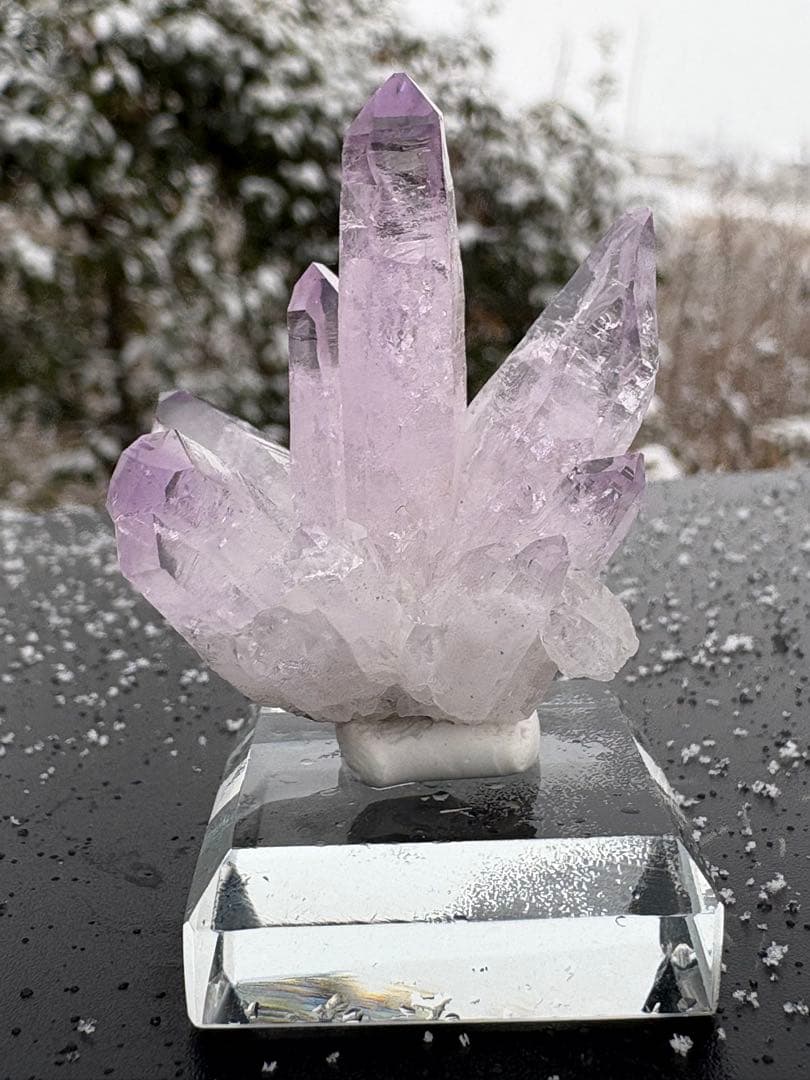 ❤️超レア　綺麗　ベラクルスアメジスト　 花　クラスター　紫水晶　原石　標本