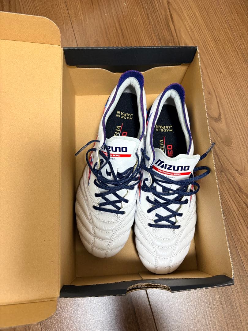 Mizuno モレリアネオ3